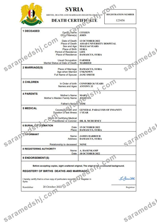Syria vital record death certificate Word and PDF template
